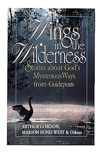 Wings In The Wilderness cover