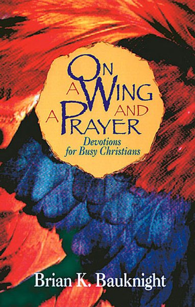 On a Wing and a Prayer: Devotions for Busy Christians