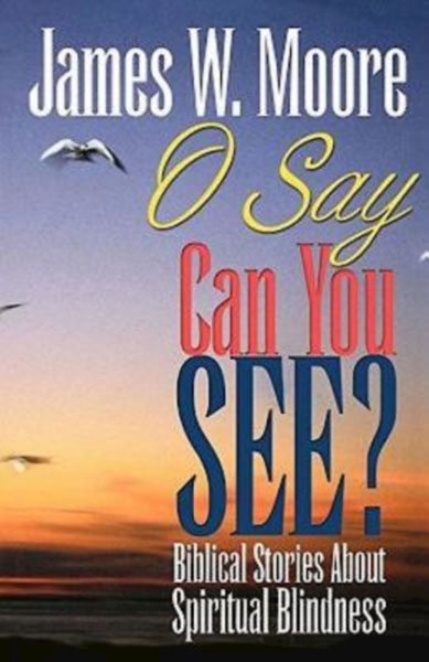 O Say Can You See?: Biblical Stories About Spiritual Blindness cover