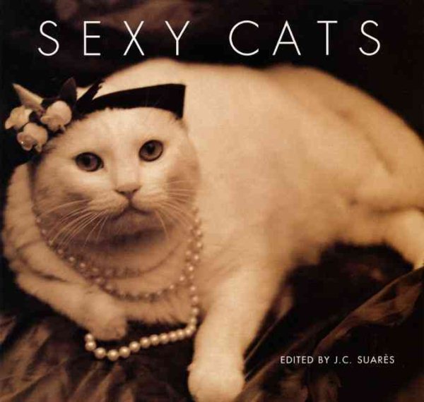 Sexy Cats cover