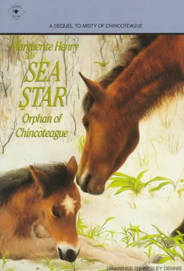 Sea Star: Orphan Of Chincoteague cover