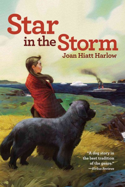 Star in the Storm (Aladdin Historical Fiction) cover