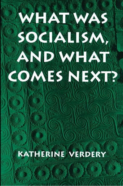 What Was Socialism, and What Comes Next? (Princeton Studies in Culture/Power/History) cover