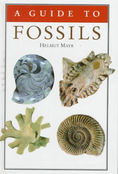 A Guide to Fossils cover