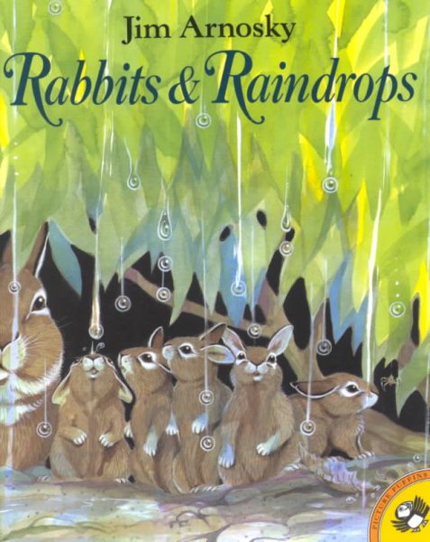 Rabbits and Raindrops (Picture Puffin Books) cover
