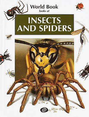 Insects & Spiders (Looks at Series) cover