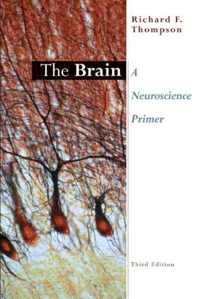 The Brain: A Neuroscience Primer
