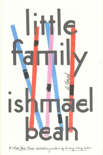 Little Family: A Novel cover