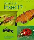 What Is an Insect? (The Animal Kingdom)