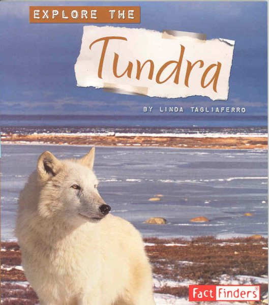 Explore the Tundra (Explore the Biomes series) cover