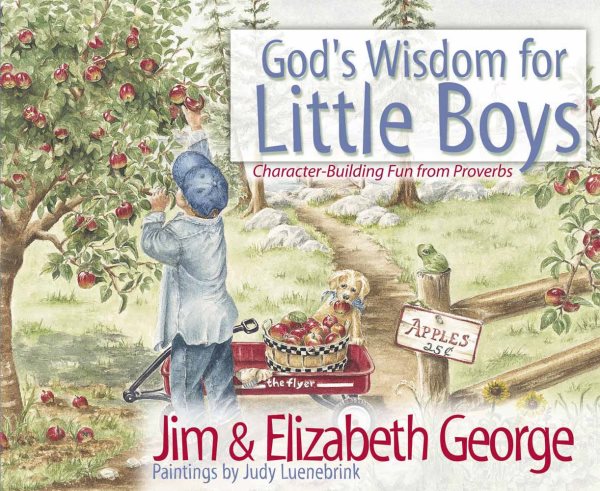 God's Wisdom for Little Boys: Character-Building Fun from Proverbs cover