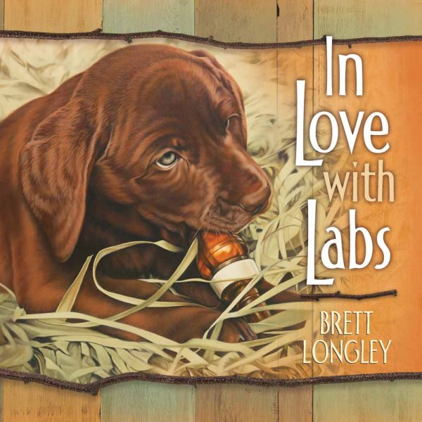 In Love with Labs cover