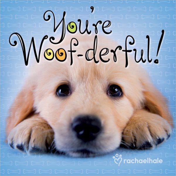 You're Woof-derful! cover