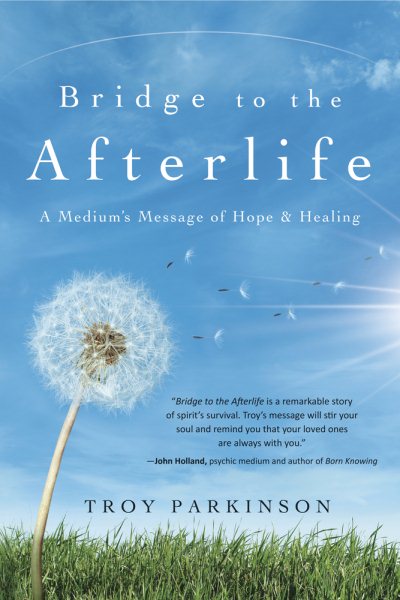 Bridge to the Afterlife: A Medium's Message of Hope & Healing cover