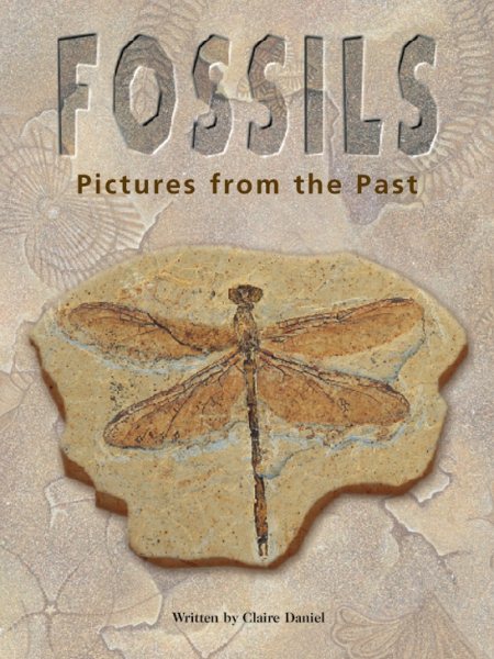 Steck-Vaughn Pair-It Books Proficiency Stage 5: Leveled Reader Fossils: Pictures From The Past, Nonfiction Story Book cover