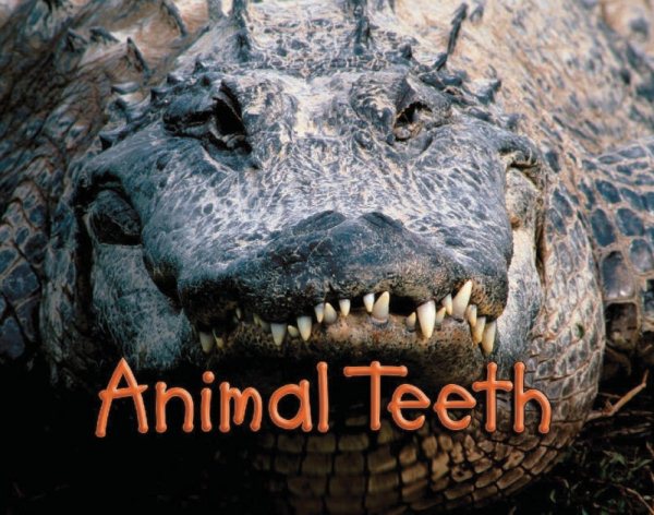 Steck-Vaughn Shutterbug Books: Leveled Reader Grades K - 1 Animal Teeth, Science cover