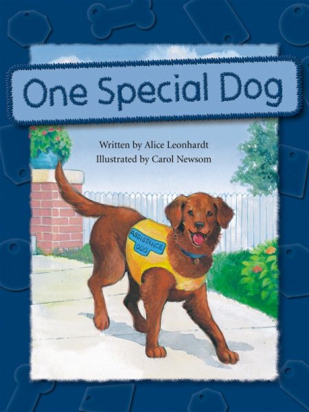 Steck-Vaughn Pair-It Books Proficiency Stage 6: Individual Student Edition One Special Dog cover