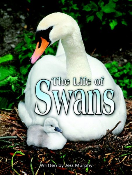 Steck-Vaughn Elements of Reading Fluency: Student Reader Grades 5 - 8 Life of Swans, The cover