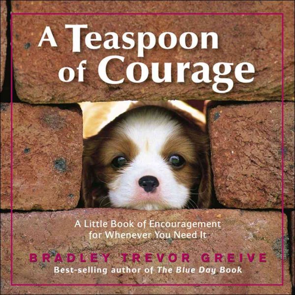 A Teaspoon of Courage: A Little Book of Encouragement for Whenever You Need It cover
