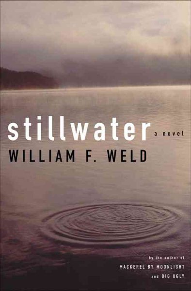 Stillwater: A Novel cover