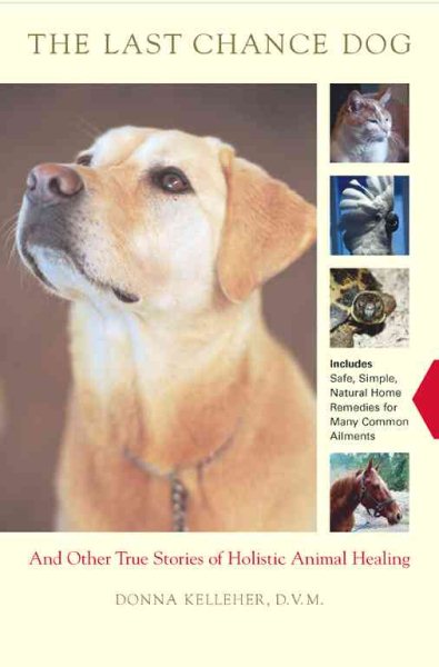 The Last Chance Dog: and Other True Stories of Holistic Animal Healing cover