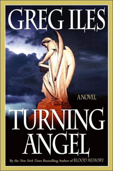 Turning Angel: A Novel cover