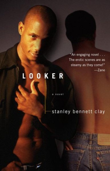 Looker: A Novel cover