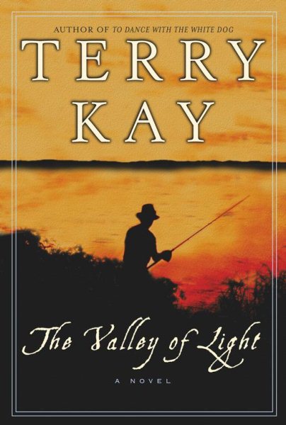 The Valley of Light: A Novel (Kay, Terry)