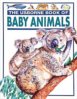 Baby Animals (Young Nature Series)