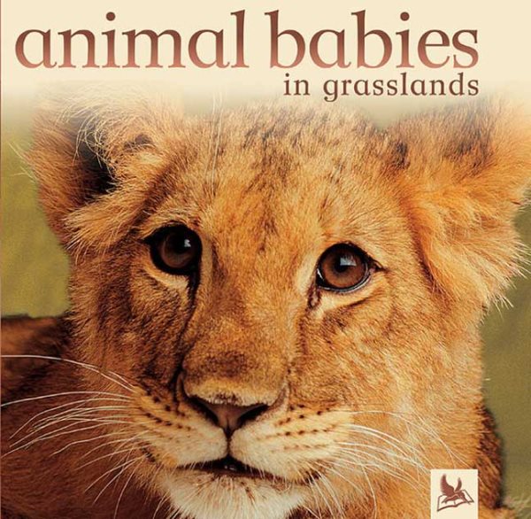 Animal Babies in Grasslands cover