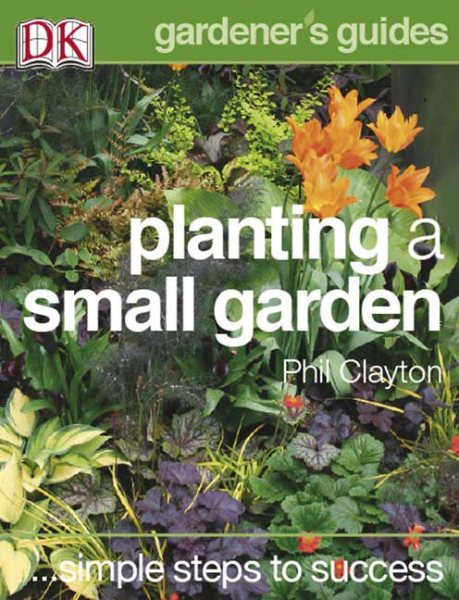 Simple Steps to Success: Planting a Small Garden