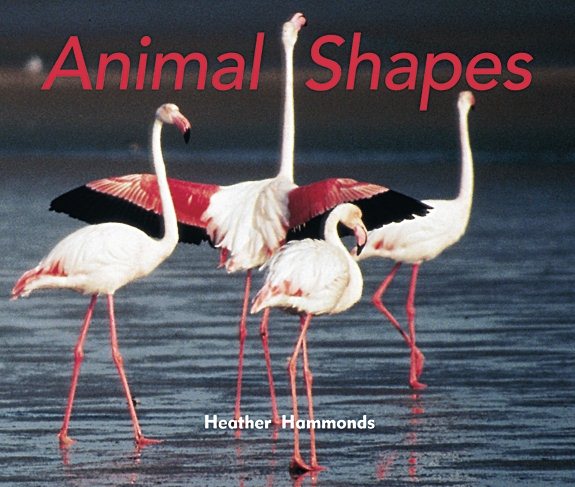 Rigby Focus Early: Leveled Reader Animal Shapes cover