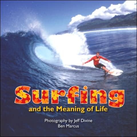 Surfing and the Meaning of Life cover