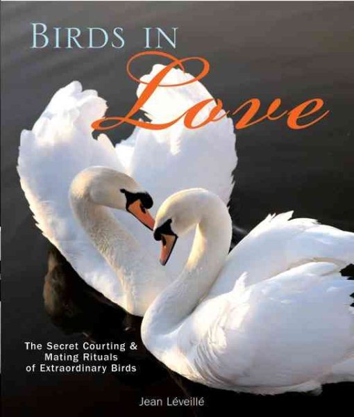 Birds in Love: The Secret Courting & Mating Rituals of Extraordinary Birds