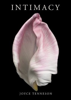 Intimacy: The Sensual Essence of Flowers cover