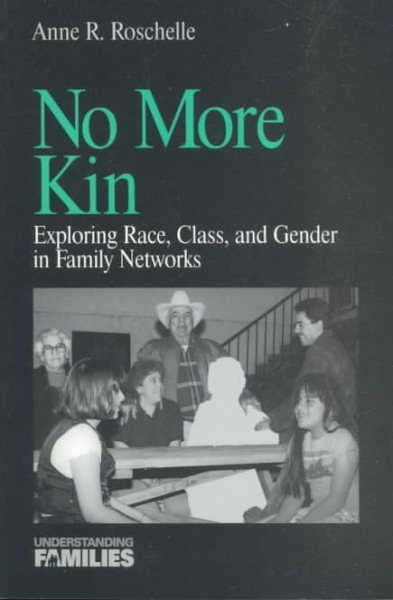 No More Kin: Exploring Race, Class, and Gender in Family Networks (Understanding Families series) cover