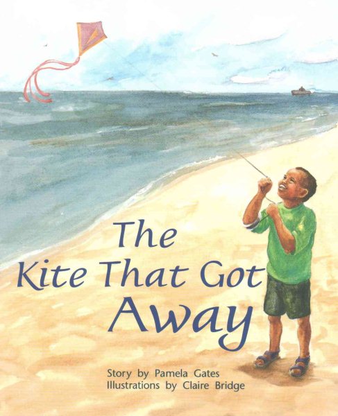 Rigby PM Plus: Individual Student Edition Orange (Levels 15-16) the Kite That Got Away cover