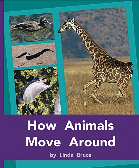 Rigby PM Plus: Individual Student Edition Purple (19-20) How Animals Move Around