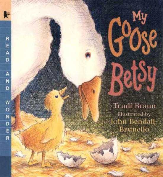 My Goose Betsy: Read and Wonder cover