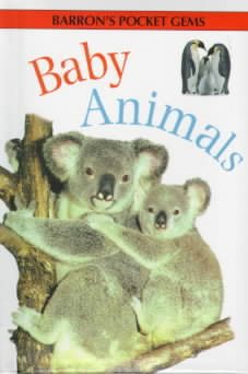 Baby Animals (Pocket Gems Series) cover
