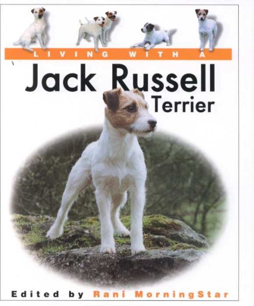 Living With a Jack Russell Terrier