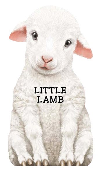 Little Lamb (Mini Look at Me Books) cover