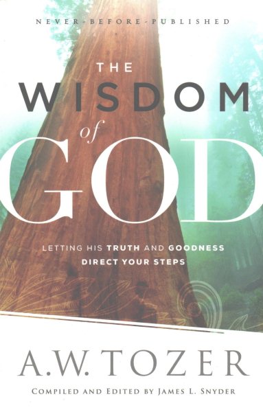 The Wisdom of God: Letting His Truth and Goodness Direct Your Steps cover