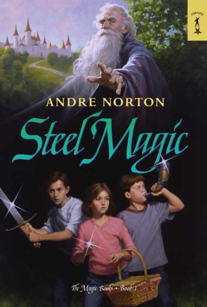 Steel Magic: The Magic Books #1