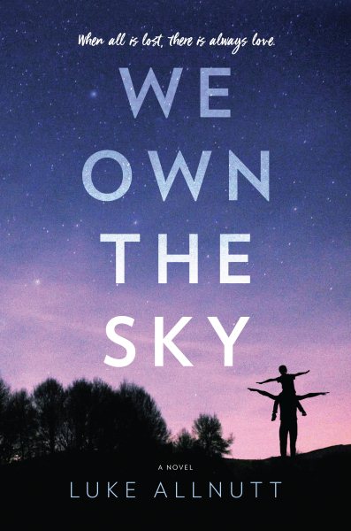 We Own the Sky: A Novel cover