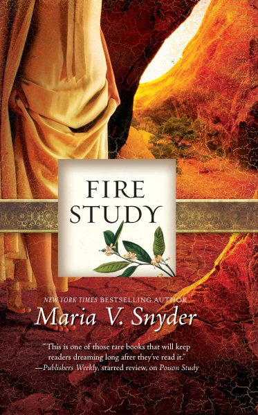 Fire Study (Study, Book 3) cover