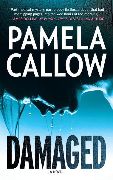 Damaged (A Kate Lange Novel, 1) cover