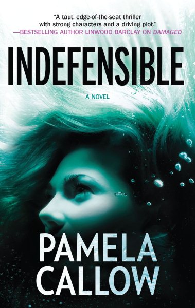 Indefensible (A Kate Lange Novel, 2)