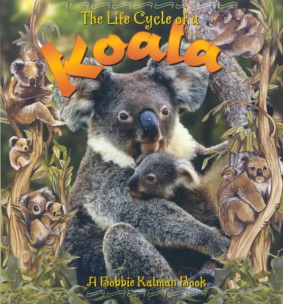 The Life Cycle of a Koala cover