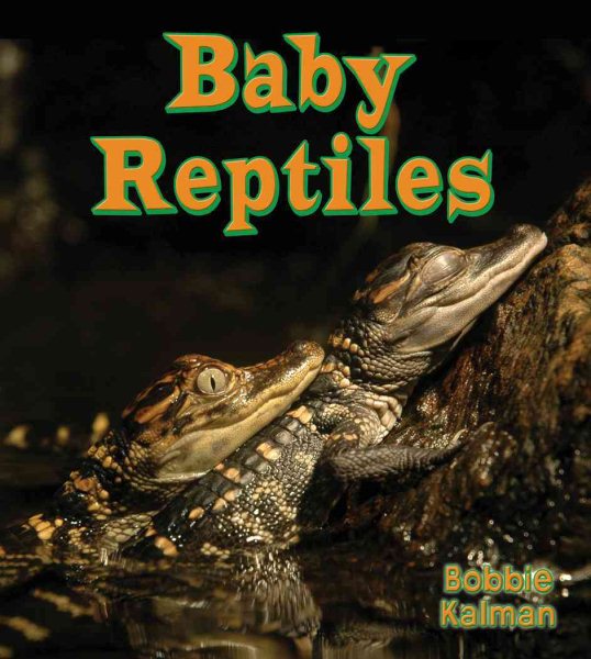 Baby Reptiles (It's Fun to Learn about Baby Animals (Paperback))